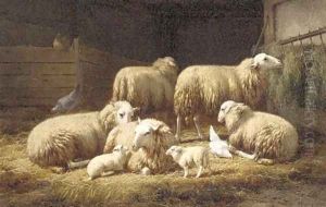 Moutons dans la bergerie by Theo van Sluys