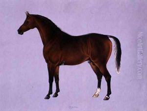 Oppidan, c.1840 Oppidan, c.1840