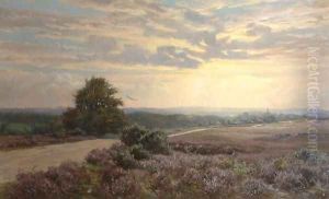 Burley Road by Frederik Golden Short