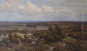 New Forest by Frederik Golden Short