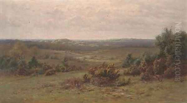 Puck Pits, The New Forest, Hampshire - view 1