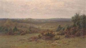 Puck Pits, The New Forest, Hampshire by Frederik Golden Short