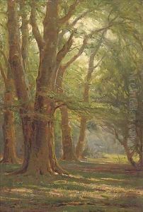A sunlit forest by Frederik Golden Short
