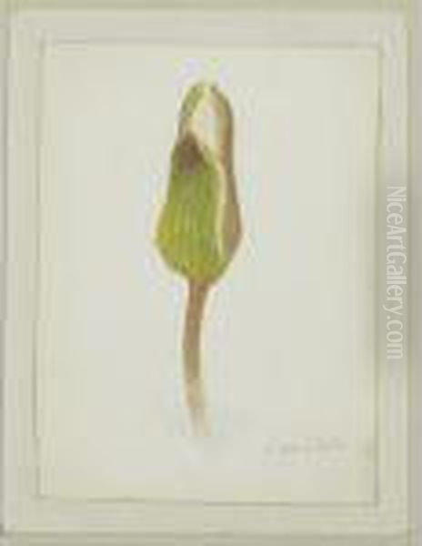 Untitled - view 1