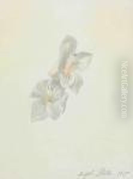 Flowers - view 1