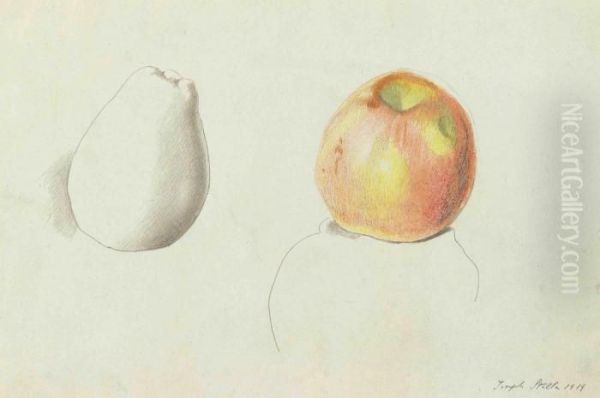 Apple And Pear - view 1