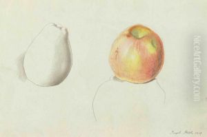 Apple And Pear by Joseph Stella
