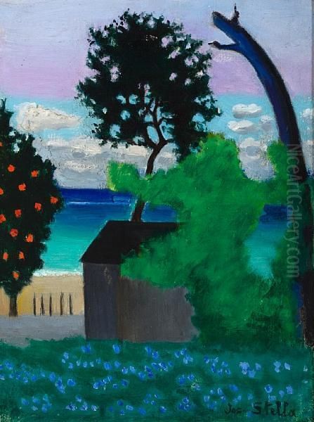 House In Barbados - view 1