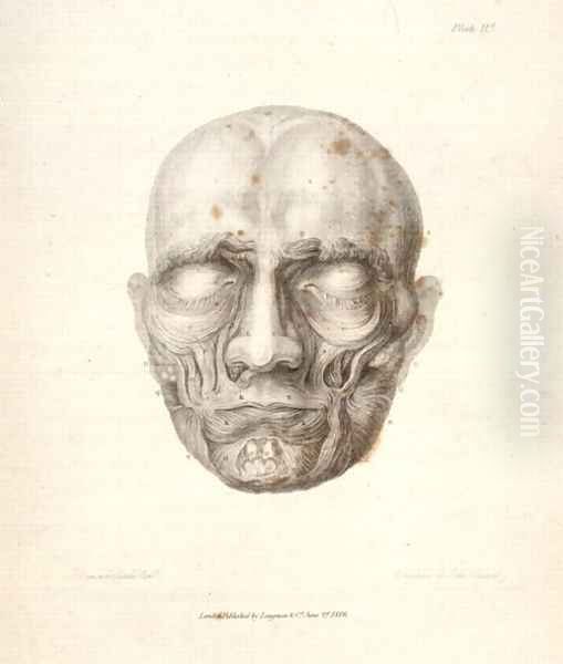 The Muscles of the face, from Charles Bells 1774-1842 Essays on the Anatomy of Expression in Painting, 1806 - view 1