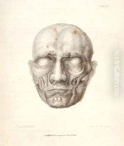 The Muscles of the face, from Charles Bells 1774-1842 Essays on the Anatomy of Expression in Painting, 1806 by John Stewart