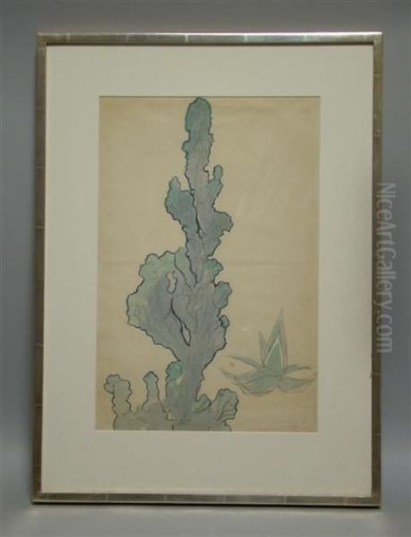 Euphorbia And Agave - view 1