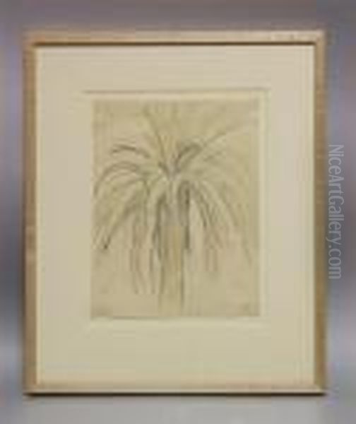 Palm Tree - view 1