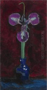 Iris Iris