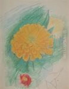 Yellow Zinnia Yellow Zinnia