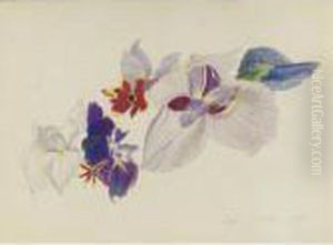 Irises And Pansies Irises And Pansies