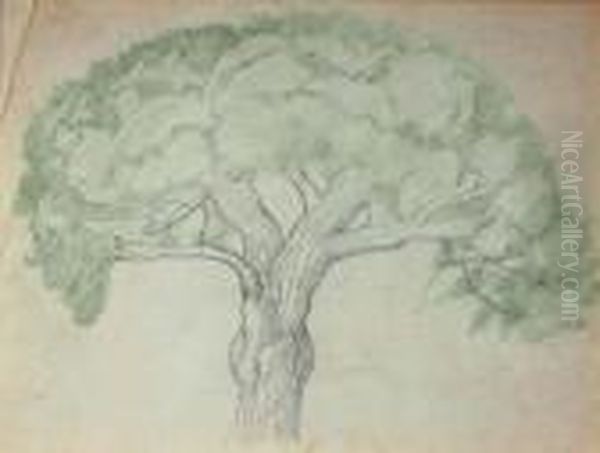 Study For Tree Of Nice - view 1