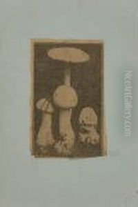 Mushrooms by Joseph Stella