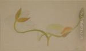 Waterlily Buds by Joseph Stella