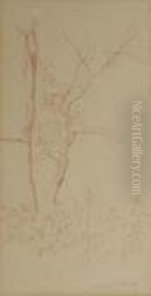Tree Branches - view 1
