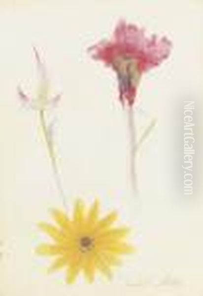 Flowers - view 1