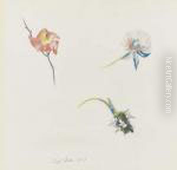 Three Flowers - view 1