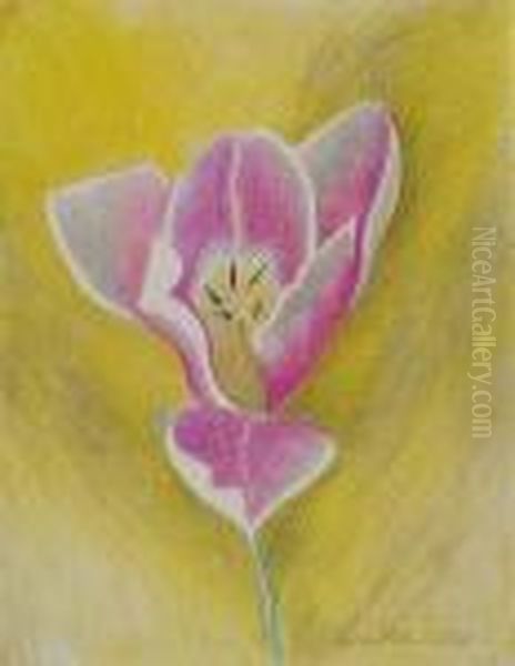 Flower - view 1