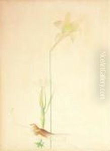 Lilies And Sparrow by Joseph Stella