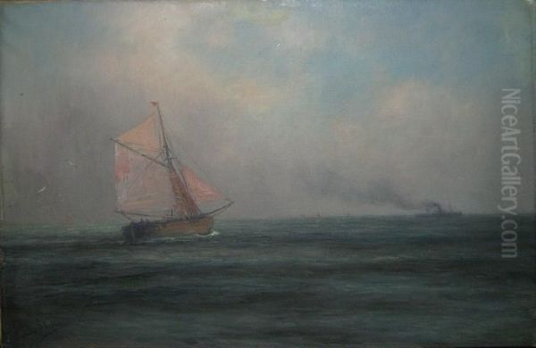 Pres De La Cote Flamande - view 1