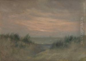 Les Dunes Les Dunes