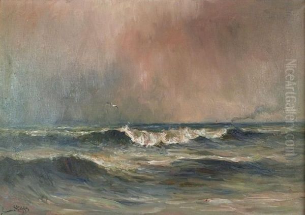 Marine - view 1