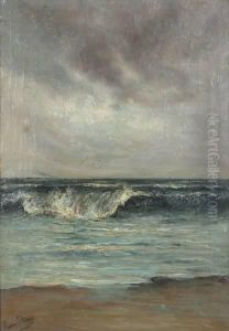 Golven En Meeuwen
