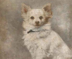 A chihuahua by French School