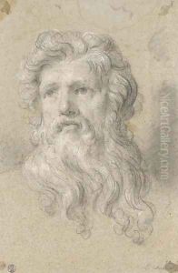 Head of a bearded man by French School