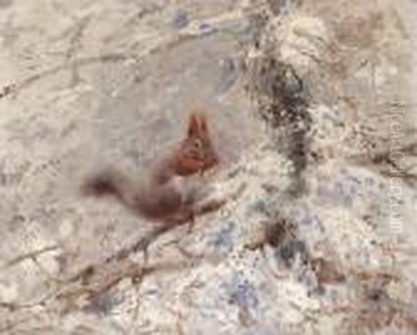 Squirrel - view 1