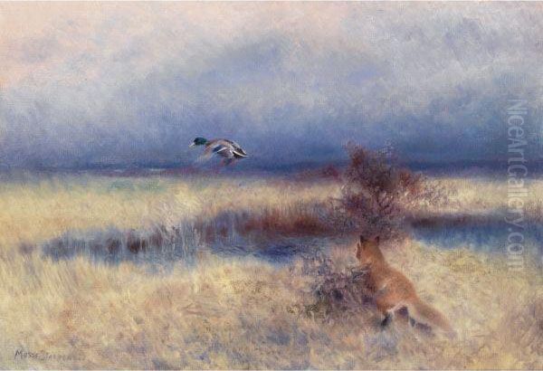 Rav Jagandes And (fox Chasing A Duck) - view 1
