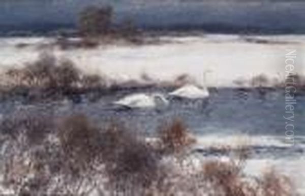 Sangsvanar I An - view 1