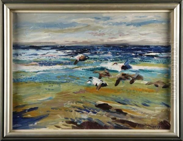 Strackande Sjofaglar - view 1