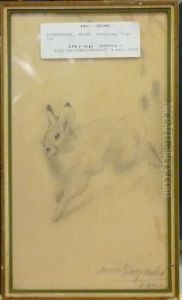 Hare.