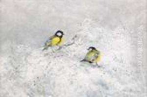 Talgoxar I Vinter