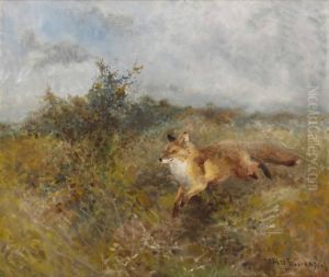 Rav I Sommarlandskap by Mosse Stoopendaal