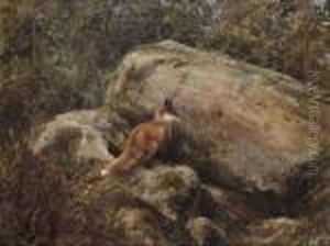 Rav I Skogslandskap by Mosse Stoopendaal
