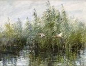 Flygande Ander