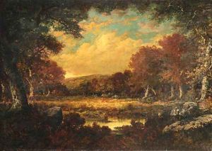 A forest clearing