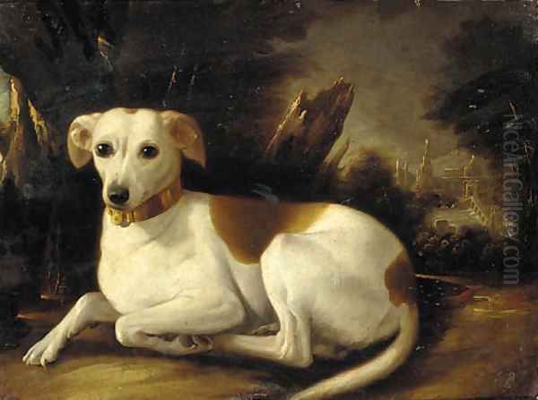 A whippet in a wooded landscape - view 1