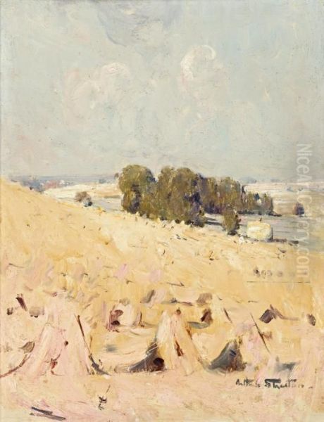 Hay Stooks, Sussex - view 1