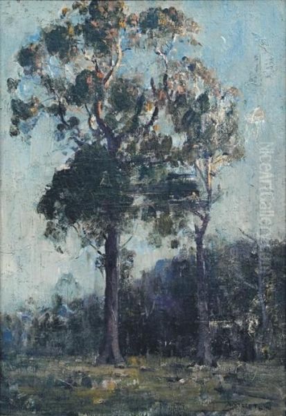 Evening - view 1