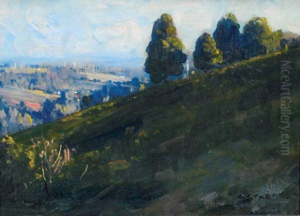 Dandenong Landscape - view 1