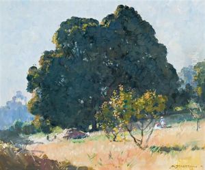 Afternoon Light (blackwood Tree) by Arthur Streeton