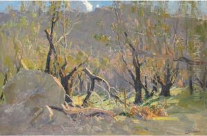Grampians Landscape Grampians Landscape