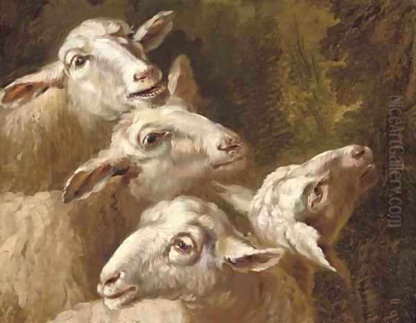 Studies of sheep - view 1
